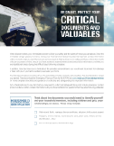 FEMA: Safeguarding Critical Documents